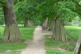 Tierpark